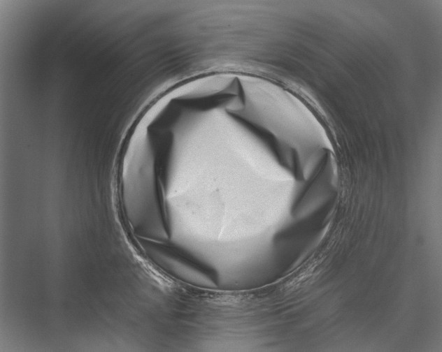 X0000075361048200610061742