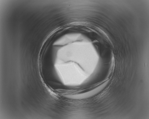 X0000075361050200610061742