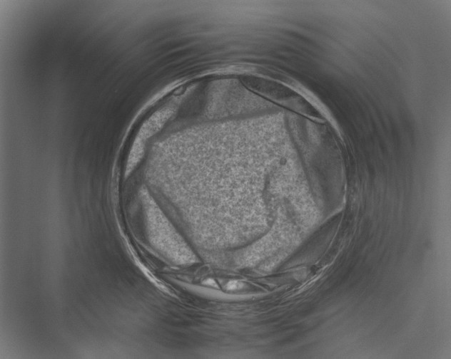 X0000075361053200610061742