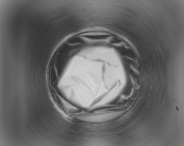 X0000075361054200610061742