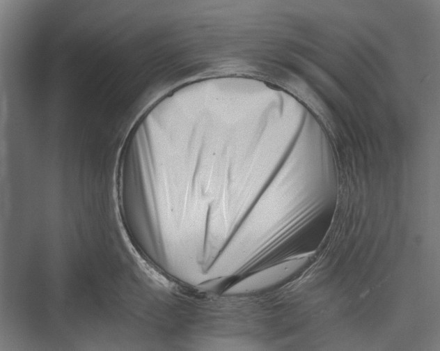 X0000075361055200610061742