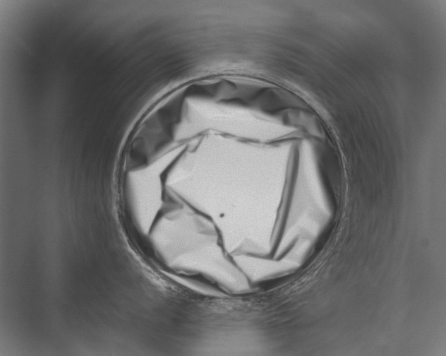 X0000075361056200610061742