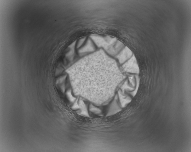 X0000075361057200610061741