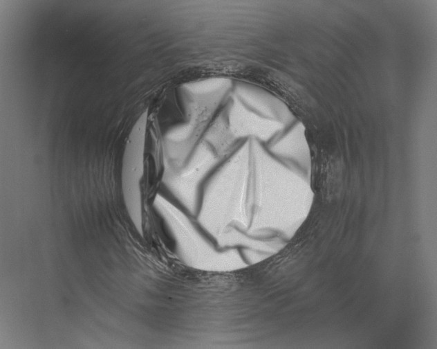 X0000075361058200610061741