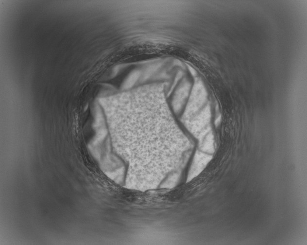 X0000075361061200610061741