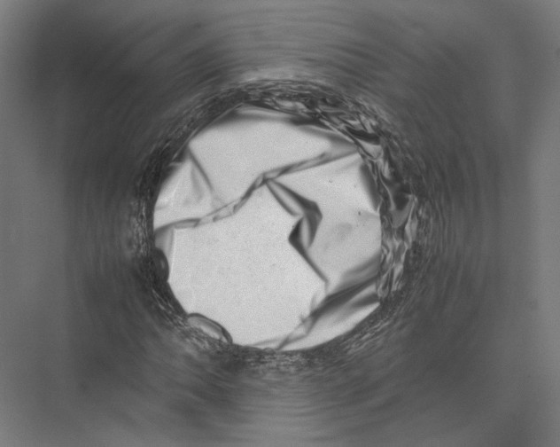 X0000075361062200610061741