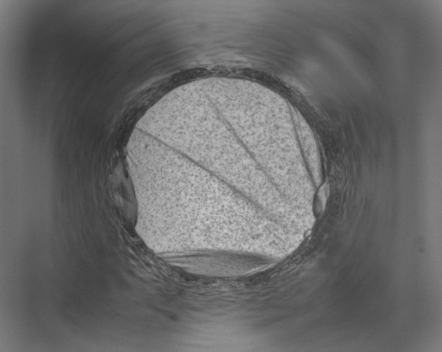 X0000075361063200610061741