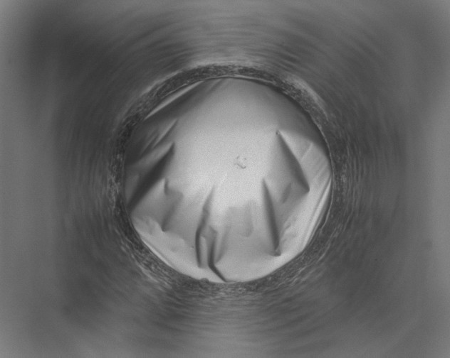 X0000075361064200610061741