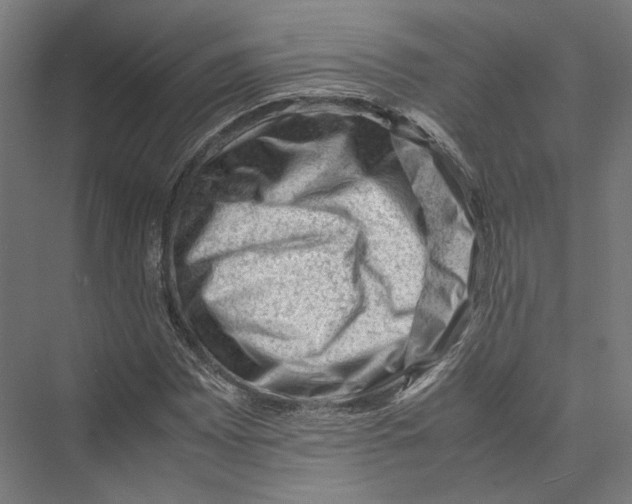 X0000075361065200610061741