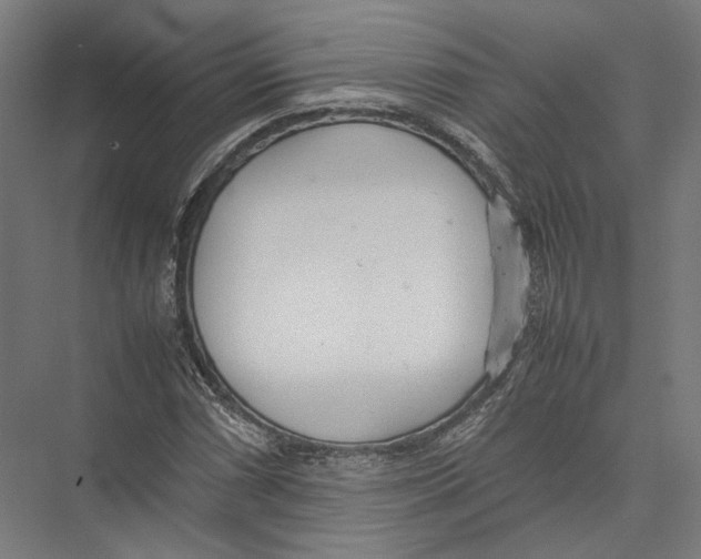 X0000075361066200610061741