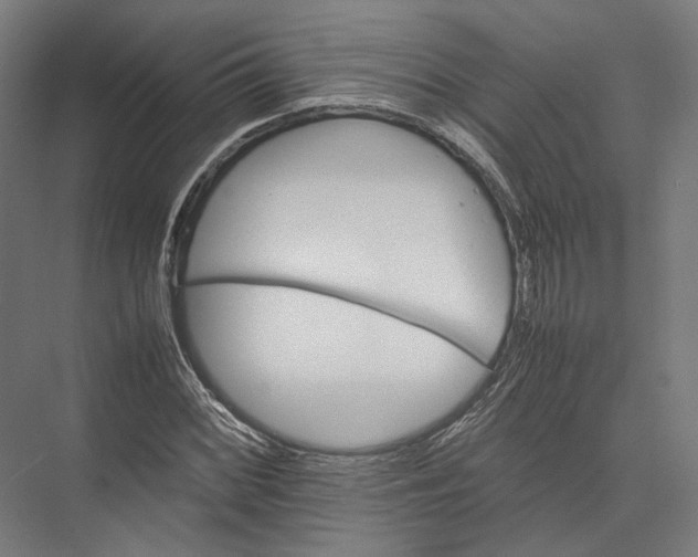 X0000075361068200610061741