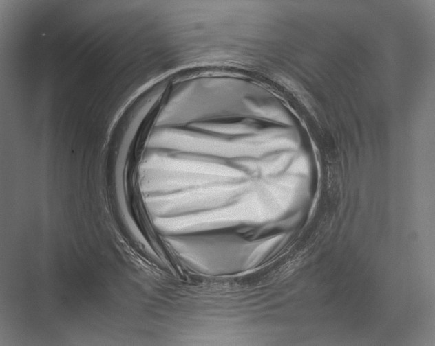 X0000075361069200610061741