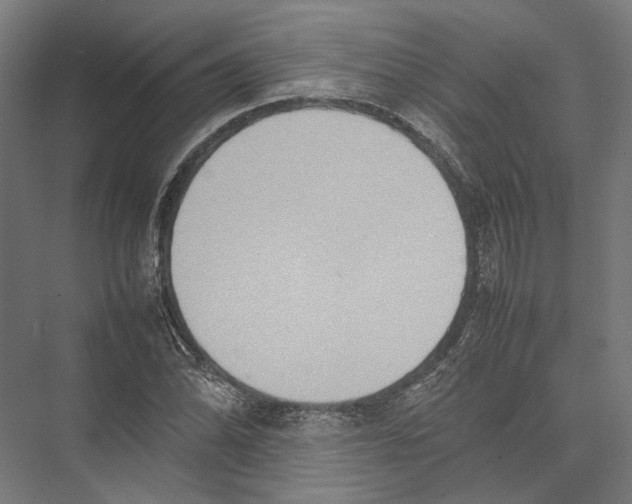 X0000075361070200610061741