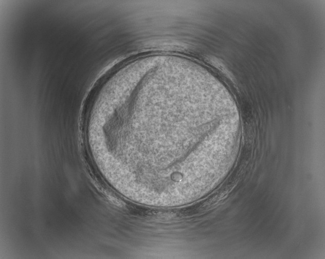 X0000075361071200610061741