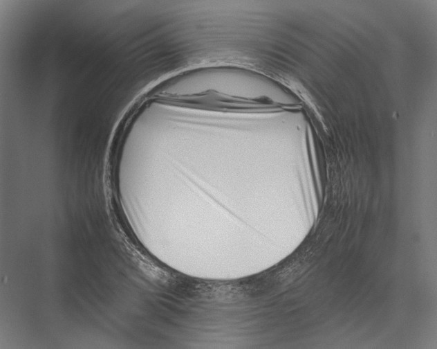 X0000075361072200610061741