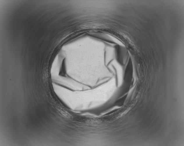 X0000075361073200610061741