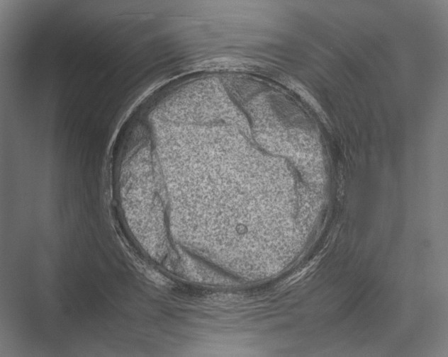 X0000075361075200610061741