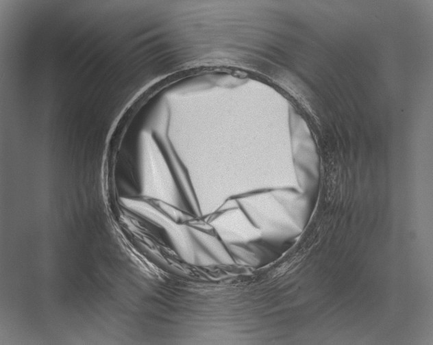 X0000075361076200610061741