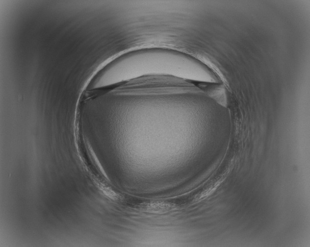 X0000075361077200610061741