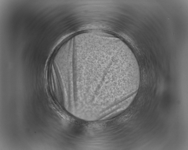 X0000075361078200610061741