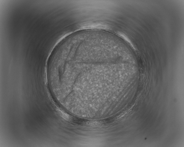 X0000075361079200610061741