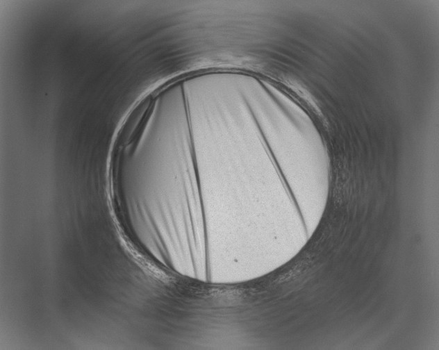 X0000075361080200610061741