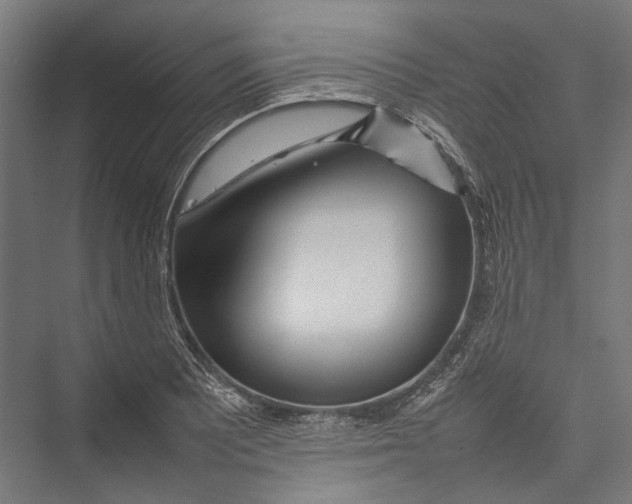 X0000075361081200610061740