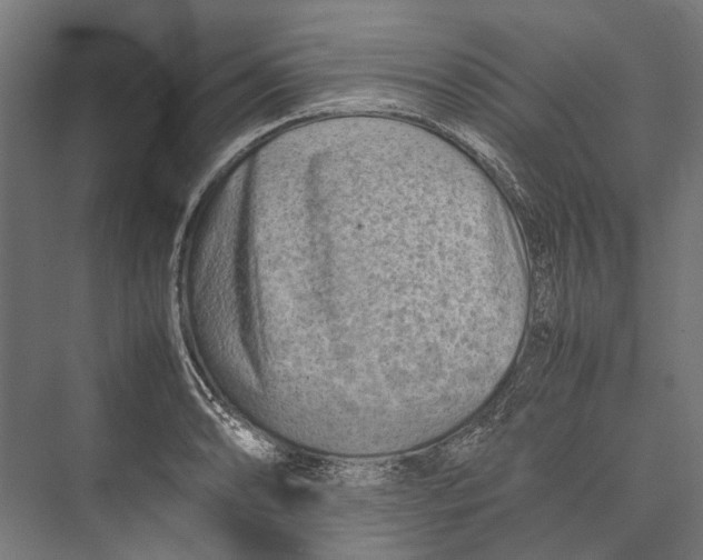 X0000075361086200610061740