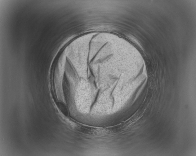 X0000075361087200610061740