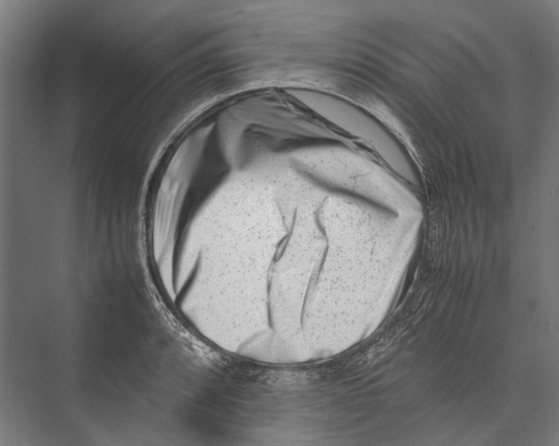 X0000075361088200610061740