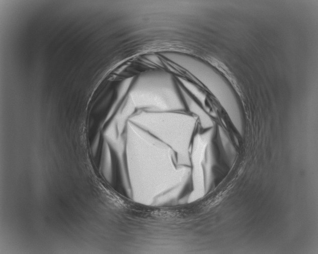 X0000075361089200610061740