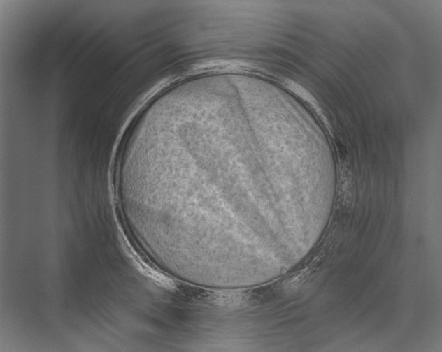 X0000075361090200610061740