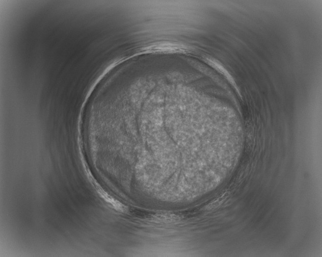 X0000075361091200610061740