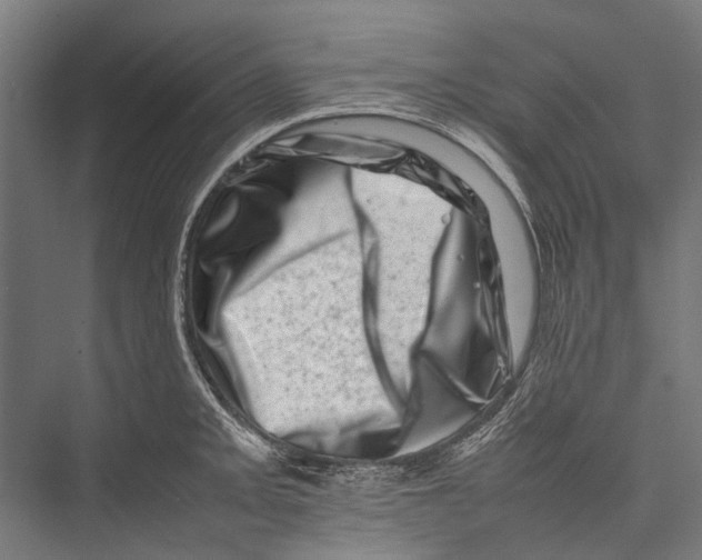 X0000075361093200610061740