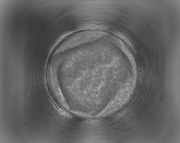 X0000075361094200610061740