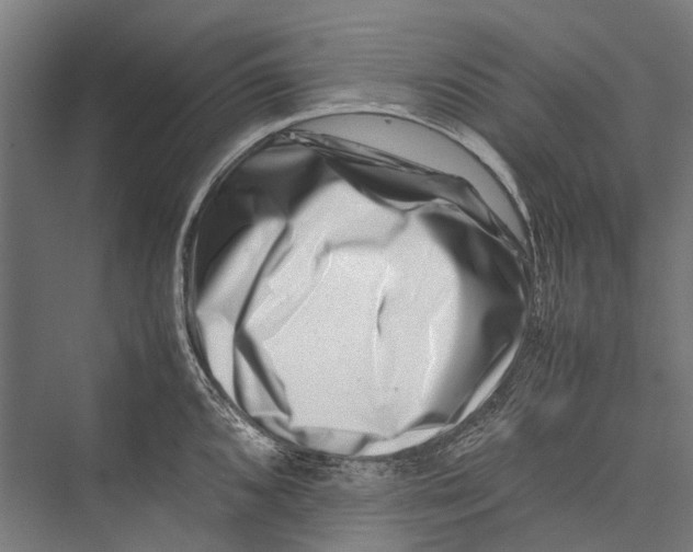 X0000075361096200610061740