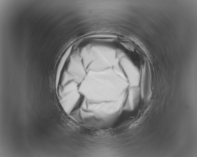 X0000075361097200610061740