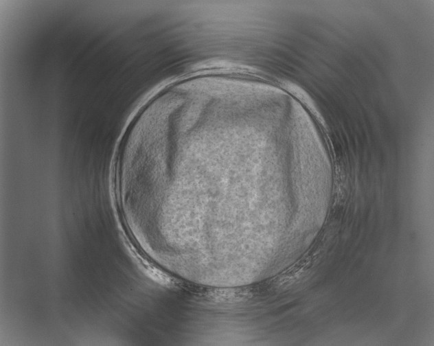 X0000075361098200610061740