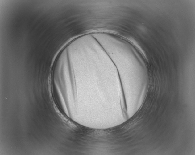 X0000075361100200610061740