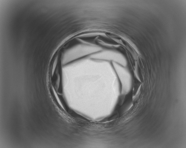 X0000075361101200610061740