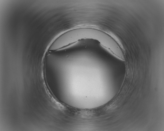 X0000075361102200610061740