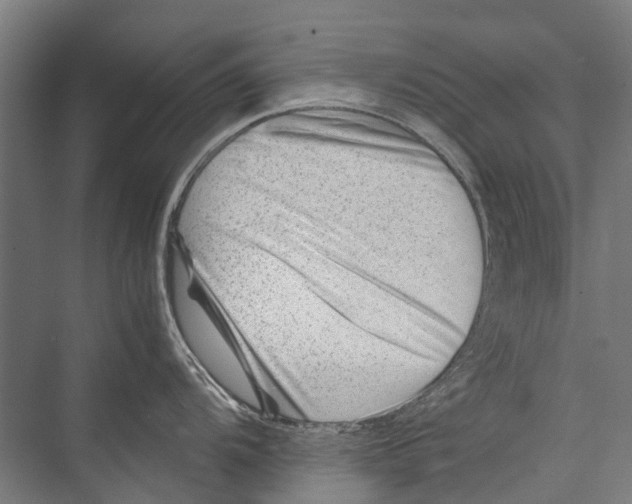 X0000075361104200610061740