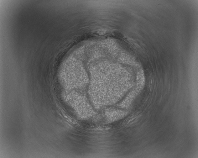 X0000075361105200610061739