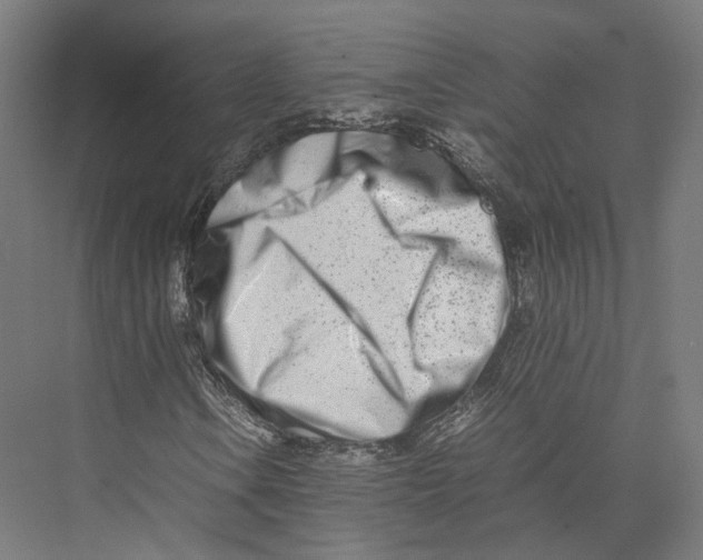 X0000075361106200610061739