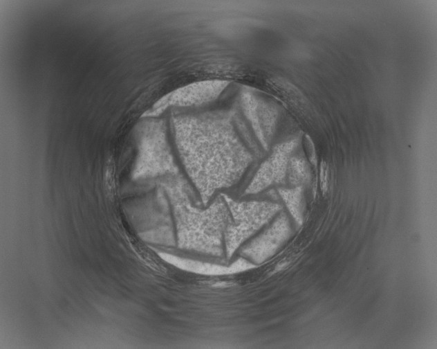 X0000075361107200610061739