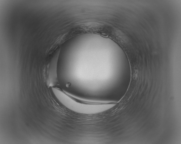 X0000075361108200610061739