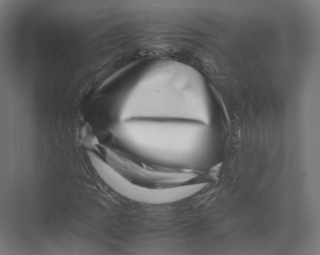 X0000075361109200610061739