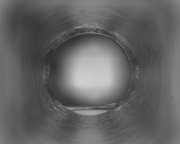 X0000075361110200610061739