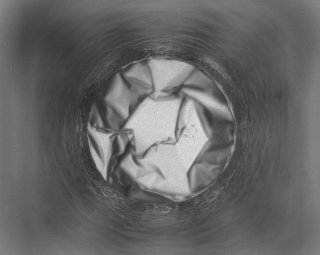 X0000075361111200610061739