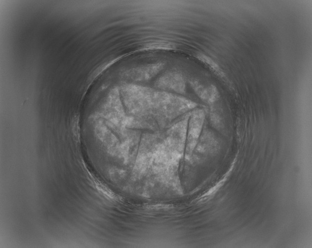 X0000075361113200610061739